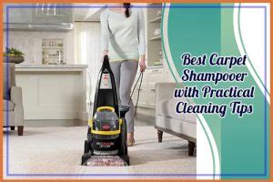 carpet shampooer    cleaning tips guide