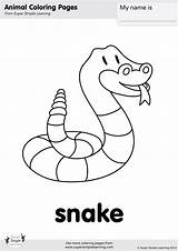 Snake Coloring Contains sketch template