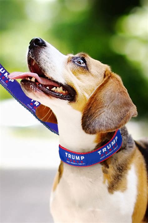 official trump pence dog collar trump  america great  committee