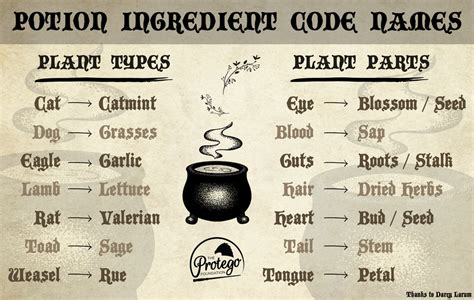 meaning  potion ingredient names  protego foundation