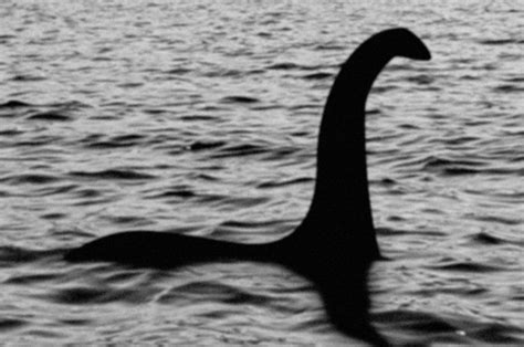 loch ness monster pic a fake daily star