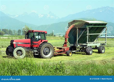 tractor harvesting hay royalty  stock  image