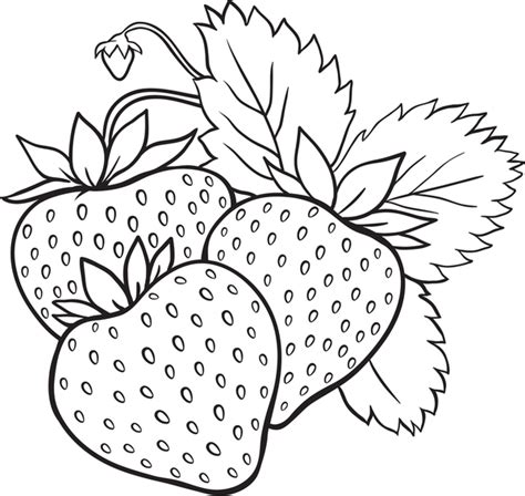 strawberry coloring page printable