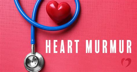 what is heart murmurs
