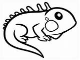 Coloring Cartoon Lizard Pages Iguana Getdrawings sketch template