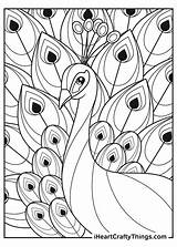 Coloring Peacock sketch template