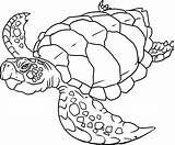 Coloring Pages Ocean Printable Life Popular sketch template