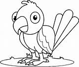 Coloring Parrot Fish Baby Pages Getcolorings Getdrawings sketch template