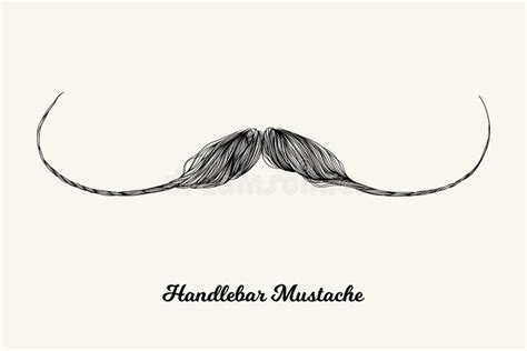 handlebar mustache stock vector illustration  design