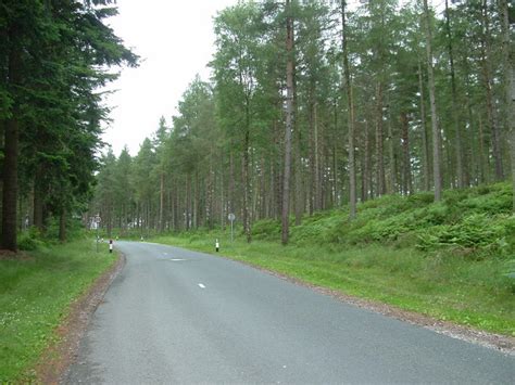 whinfell forest  trevor hilton cc  sa geograph britain