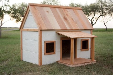 diy dog house designs    dog protected