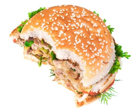 photo  eaten hamburger american hamburger unhealthy