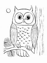 Owl Coloring Pages Baby Cute Drawing Printable Cool Flying Colouring Color Owls Print Kids Sheet Getcolorings Getdrawings Barn Realistic Popular sketch template