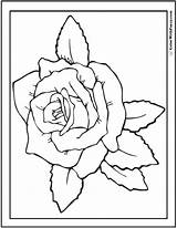 Rose Coloring Pages Printable Color Pdf Kids Lovely Adults Preschool Digital Customize Printables Colorwithfuzzy Fuzzy sketch template