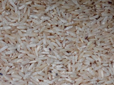 siegnij po zdrowie wolki zbozowe  ryzu