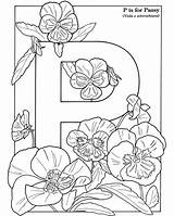 Coloring Flowers Pages Language Flower Pansy Book Dover Alphabet Publications Adult Colouring Pansies Choose Board Color Books Garden Today sketch template