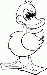 Rata Colorat Duck Planse Desene Domestice Animale Preschoolcrafts Cheie Cuvinte sketch template