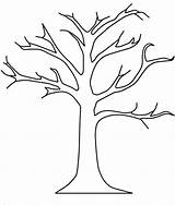 Tree Bare Coloring Drawing Pages Ages sketch template