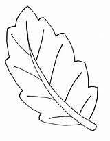 Leaf Shapes Coloring Pages Print Leaves Printable Shape Colouring sketch template