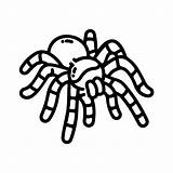 Halloween Printable Spider Templates Spiders Template Coloring Pages Printablee Via sketch template