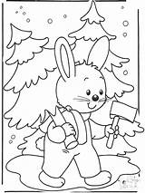 Neige Colorare Sneeuw Coloriage Konijn Kaninchen Coniglio Natale Neve Schnee Kerstboom Lapin Rabbit Kerst Coelho Animaux Ausmalbilder Wintertiere Choinka Weihnachten sketch template