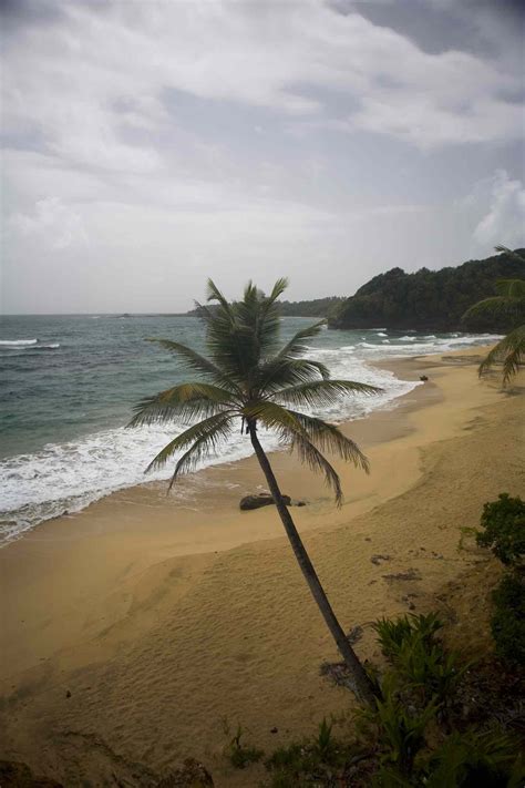 The Best Beaches On Dominica