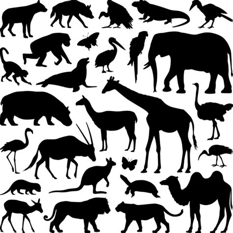 wild animal silhouette set vector  vector animal