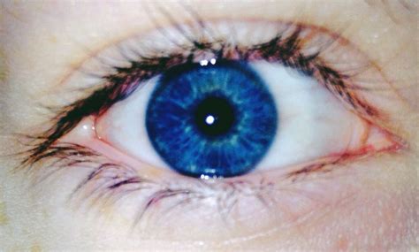 pin by j c z on ɘyɘs bright ːˑː dark blue eyes blue eye color