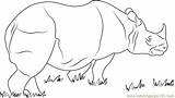 Horned Rhinoceros Coloringpages101 sketch template
