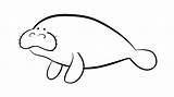 Manatee Clipground sketch template