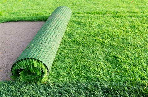maintenance landscaping ideas   hassle  grass