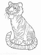 Harimau Mewarnai Gambar Tiger Coloringsky Unusual sketch template