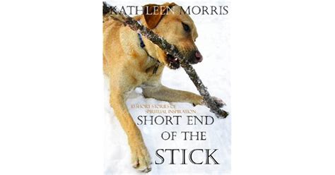 short end of the stick 10 short stories of spiritual inspiration by