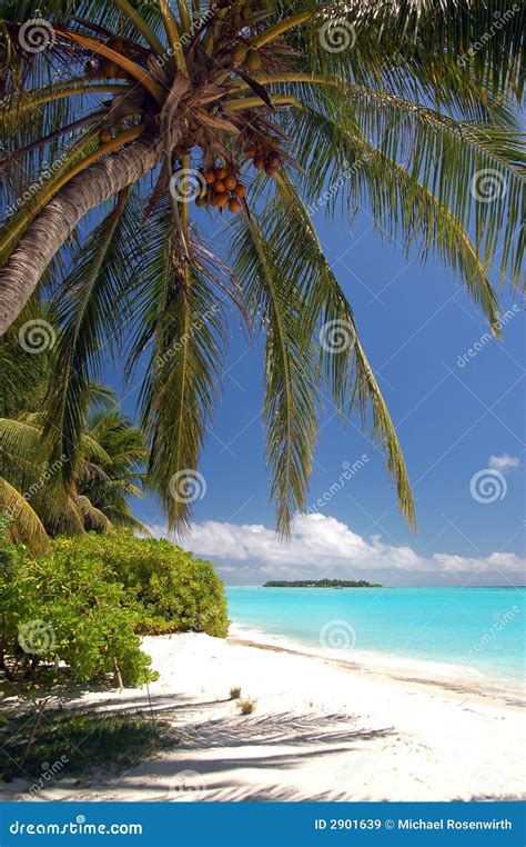 beautiful tropical beach stock image image  island