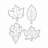 Leaf Template Leaves Pattern Patterns Fall Printable Print Cut Traceable Templates Shapes Garland Cliparts Leave Thanksgiving Coloring Stencils Printout Clipart sketch template