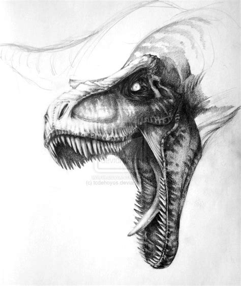 trexsketchbytcdehoyos dksljpg  dragon dinosaur