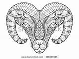 Horn Zentangle Psychedelic Head sketch template