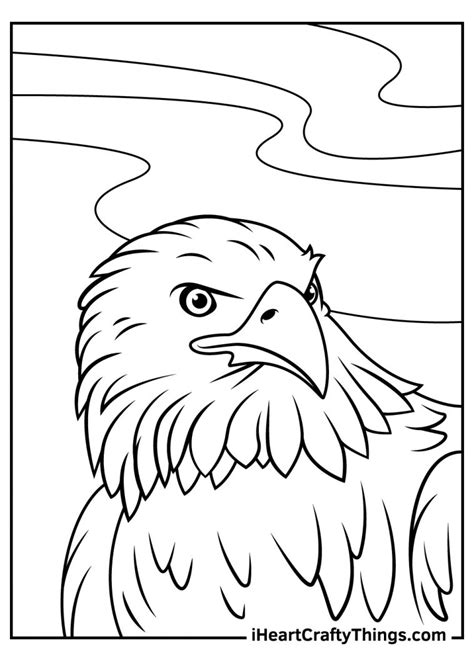 bald eagle coloring pages updated