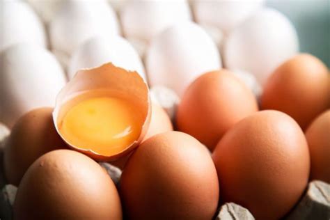 ovos produzidos  brasil sao   consumo sba sistema