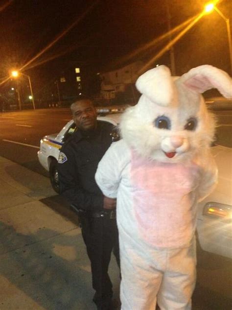 Pictures Of The Lmanberg Flag Easter Bunny Gets Arrested Bodrumwasurt