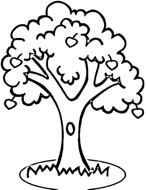 mango tree colouring pages clipart