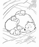Coloring Bear Pages Animals Hibernating Sleeping Little Kids Animal Big Tundra Wild Den Brown Drawing Woods Color House Printable Smokey sketch template