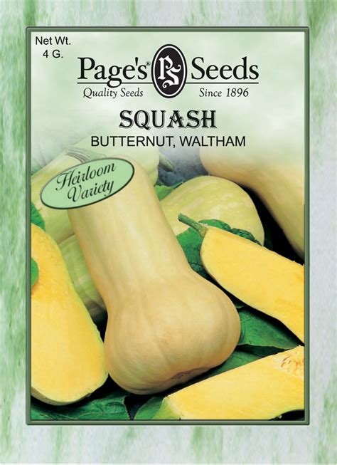 squash butternut waltham  page seed company