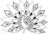 Peacock Drawing Kids Coloring Pages Printable Draw Getdrawings sketch template