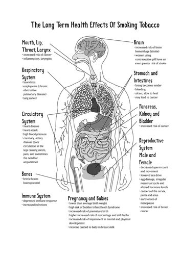 long term effects of smoking teaching resources