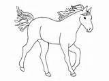 Horse Coloring Pages Drawing Awesome War Clydesdale Horses Kids Big Printable Color Getcolorings Tugboat Clipart Getdrawings Print Netart sketch template