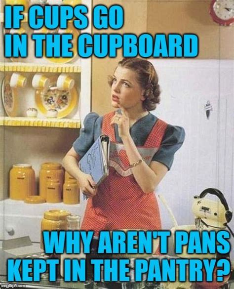 Pin By Jenexx On In Praise Of The Domestic Goddess Housework Humor