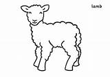 Lamb Coloring Spring Lambs Sheep Pages Cartoon Little Outline Baby Color Print Running Drawing Animals Kids Coloringsky Choose Board Preschool sketch template