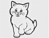 Cat Drawing Coloring Wallpaper Colour sketch template