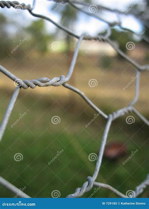 chicken wire stock image image  australia chain wire